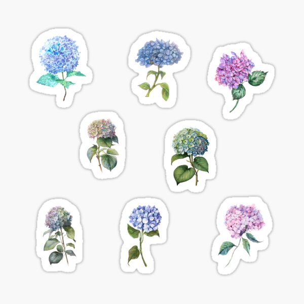 Vista previa del artículo con la obra «Flores mixtas de hortensias de acuarela vintage», diseñado y vendido por silviaol.