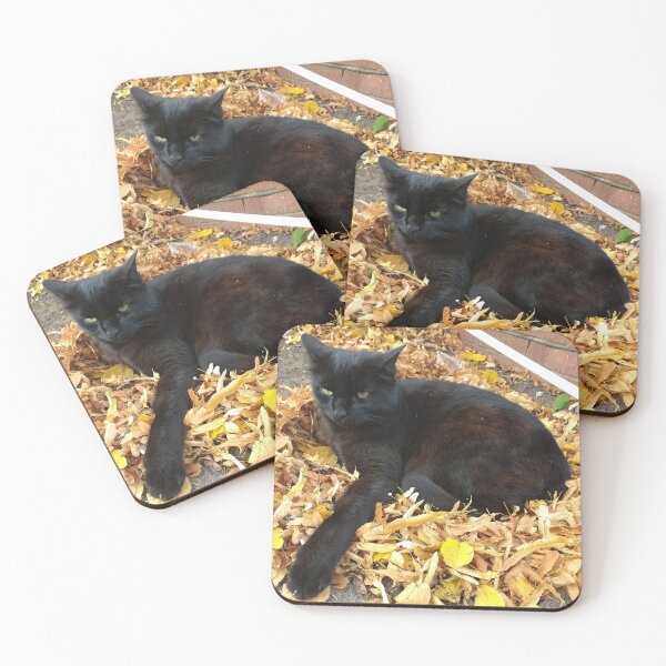 Item preview, #274 |☼| "Leaf Me Alone!" - Alfie (Cats) designed and sold by Naean H.F. (Nez Man).