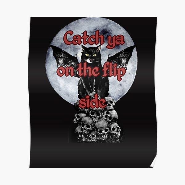 "Catch ya on the flip side" Poster for Sale by Verounexd Redbubble