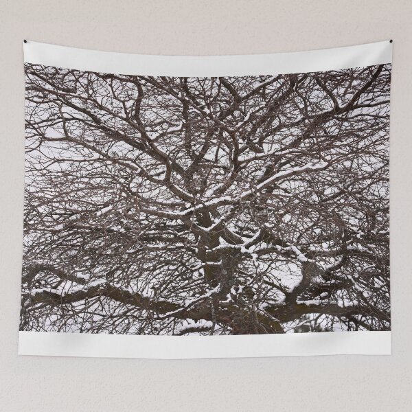 Item preview, A Passing Dusting of Snow  designed and sold by fototaker Tony.