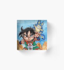 Yamcha Acrylic Block