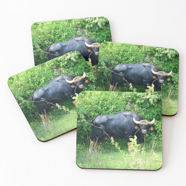 Item preview, Thailand - Kui Buri National Park designed and sold by franck380.