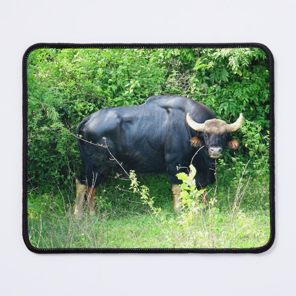 Item preview, Thailand - Kui Buri National Park designed and sold by franck380.