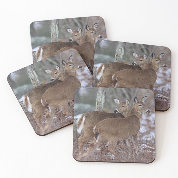 Item preview, We've Got Each Other's Back designed and sold by LisaNaturePhoto.