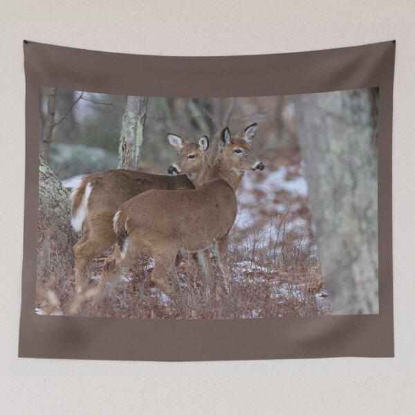 Item preview, We've Got Each Other's Back designed and sold by LisaNaturePhoto.