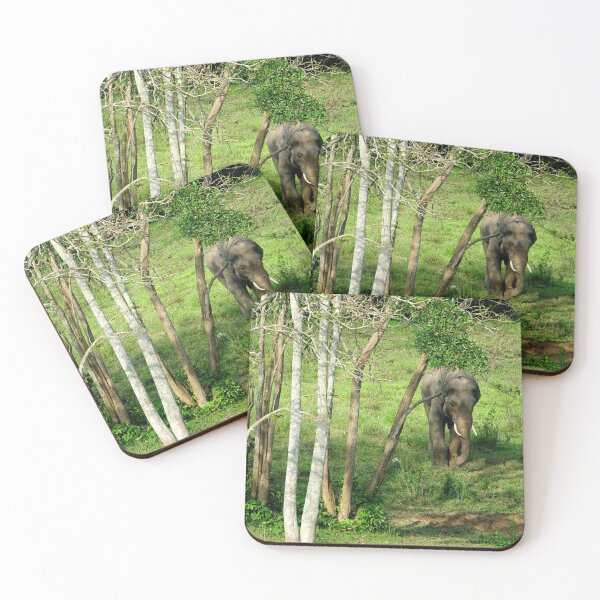 Item preview, Thailand - Kui Buri National Park designed and sold by franck380.