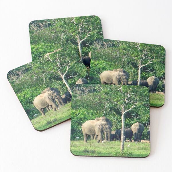 Item preview, Thailand - Kui Buri National Park designed and sold by franck380.