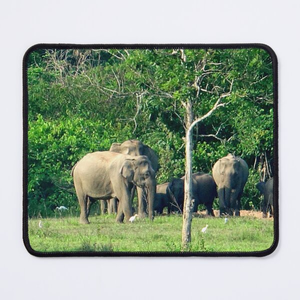 Item preview, Thailand - Kui Buri National Park designed and sold by franck380.