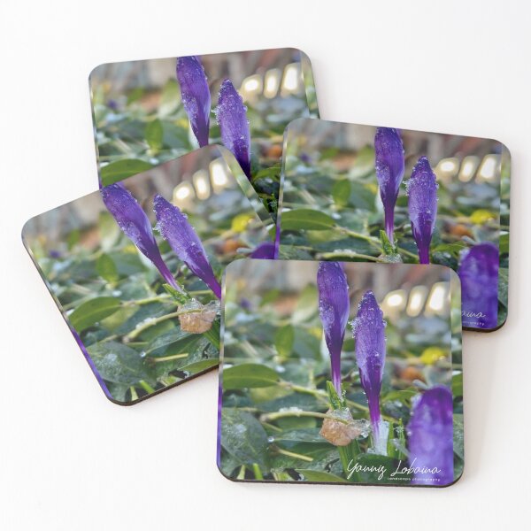 Item preview, SIGNS OF HOPE:PURPLE FLOWER COLLECTION BY YANNIS LOBAINA  designed and sold by Yannis Lobaina Art .