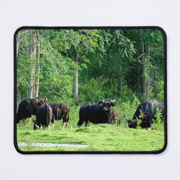 Item preview, Thailand - Kui Buri National Park designed and sold by franck380.