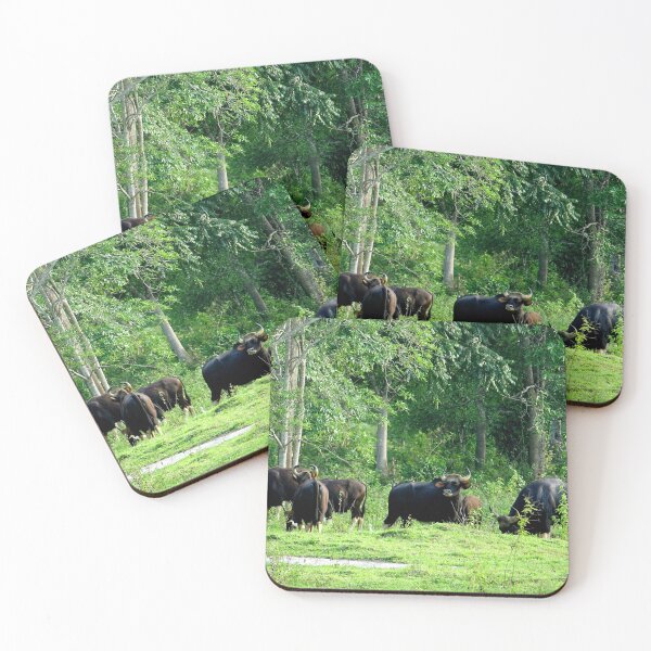 Item preview, Thailand - Kui Buri National Park designed and sold by franck380.