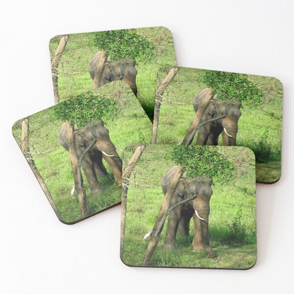 Item preview, Thailand - Kui Buri National Park designed and sold by franck380.