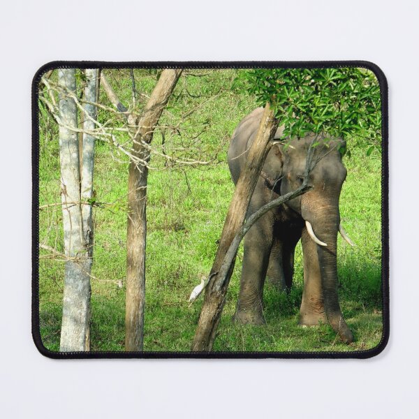 Item preview, Thailand - Kui Buri National Park designed and sold by franck380.
