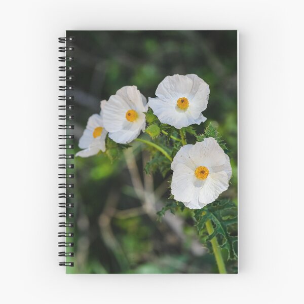Item preview, Texas White Poppy designed and sold by anchorsofhope.