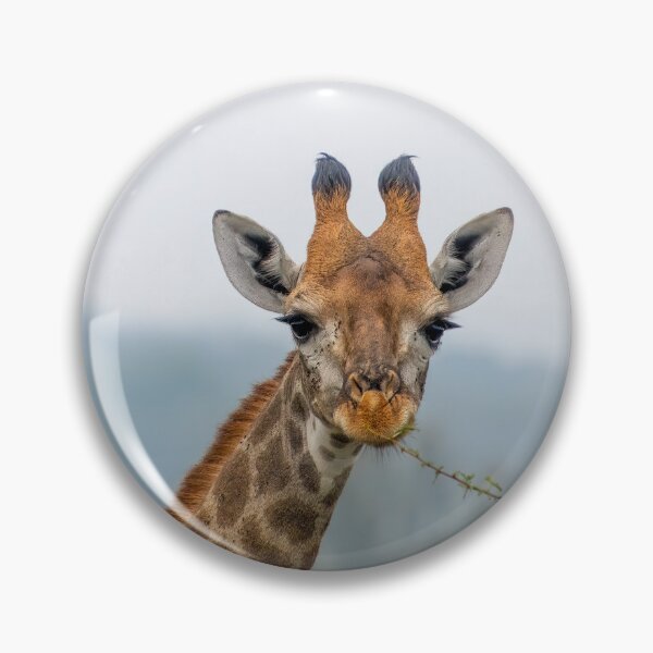 Item preview, Young Giraffe Portrait designed and sold by SafariByMarisa.