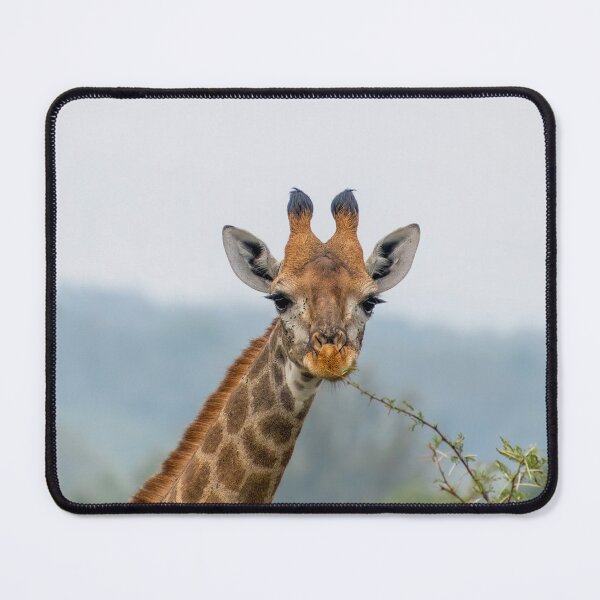 Item preview, Young Giraffe Portrait designed and sold by SafariByMarisa.