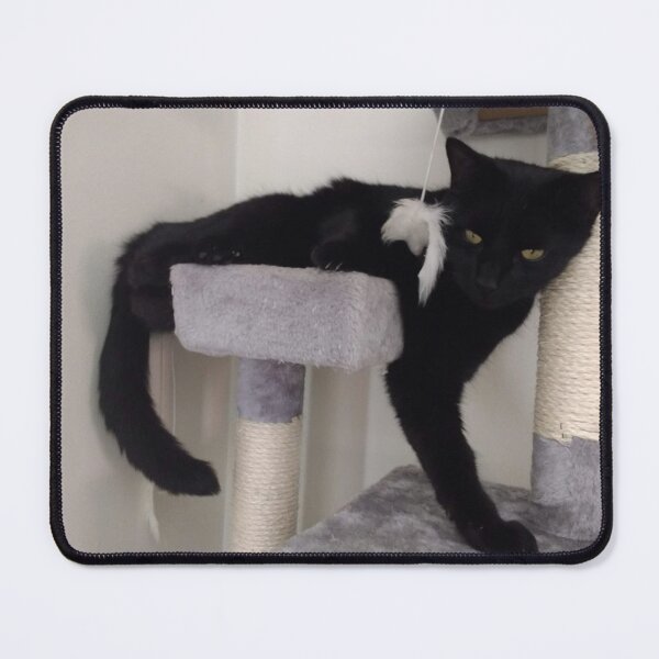 Item preview, #275 |☼| Alfie Trekkin' Off The Tower (Cats) designed and sold by Naean H.F. (Nez Man).