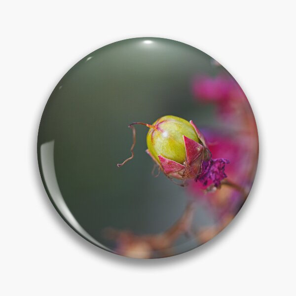 Item preview, Crepe Myrtle Green Fruit designed and sold by Joy Watson - Natural Light Photography .