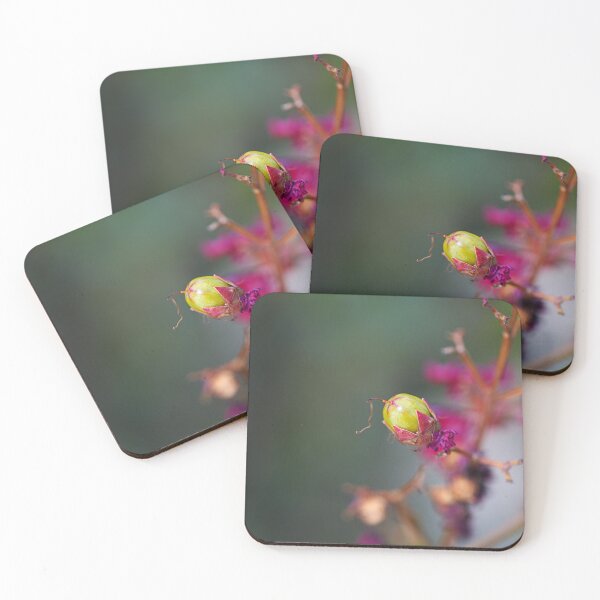 Item preview, Crepe Myrtle Green Fruit designed and sold by Joy Watson - Natural Light Photography .