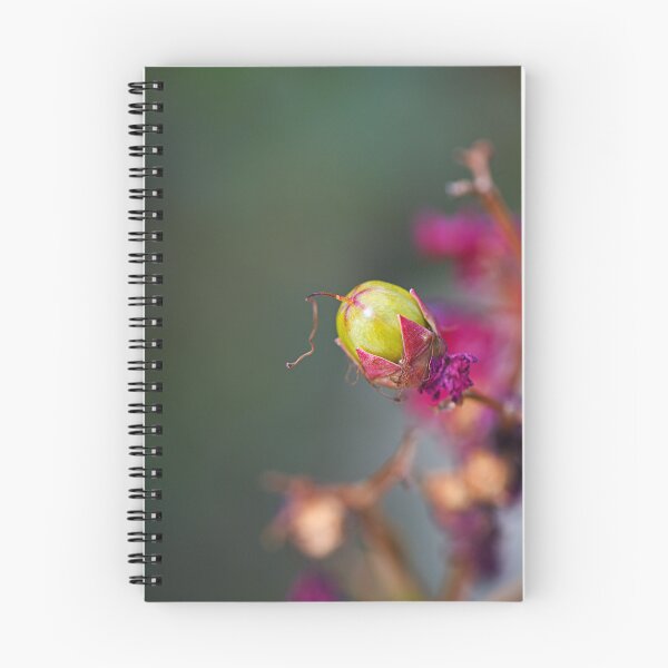 Item preview, Crepe Myrtle Green Fruit designed and sold by Joy Watson - Natural Light Photography .