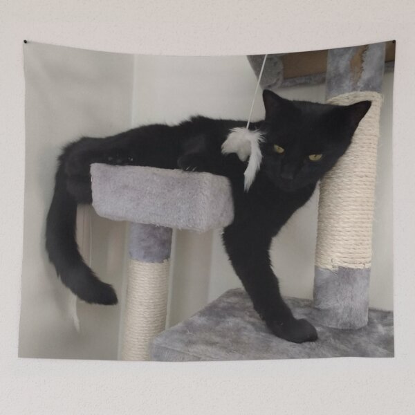 Item preview, #275 |☼| Alfie Trekkin' Off The Tower (Cats) designed and sold by Naean H.F. (Nez Man).