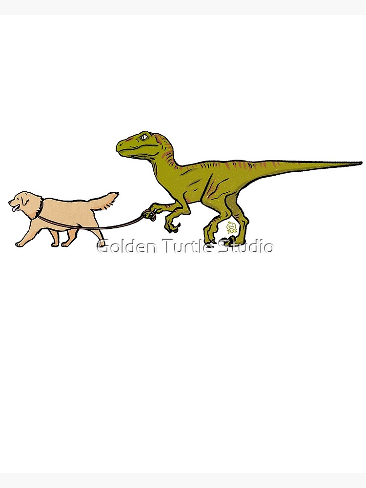 Raptor And Golden Retirever On A Walk | Funny Golden Retriever And ...