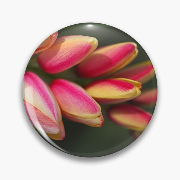 Item preview, African Corn Lily Flows Down designed and sold by Joy Watson - Natural Light Photography .