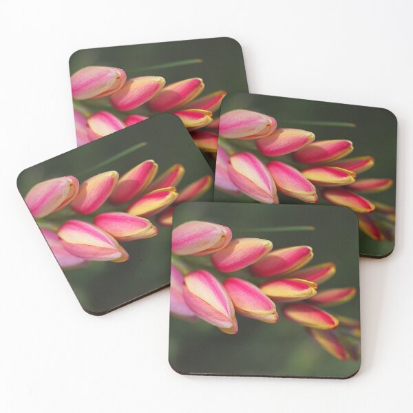 Item preview, African Corn Lily Flows Down designed and sold by Joy Watson - Natural Light Photography .