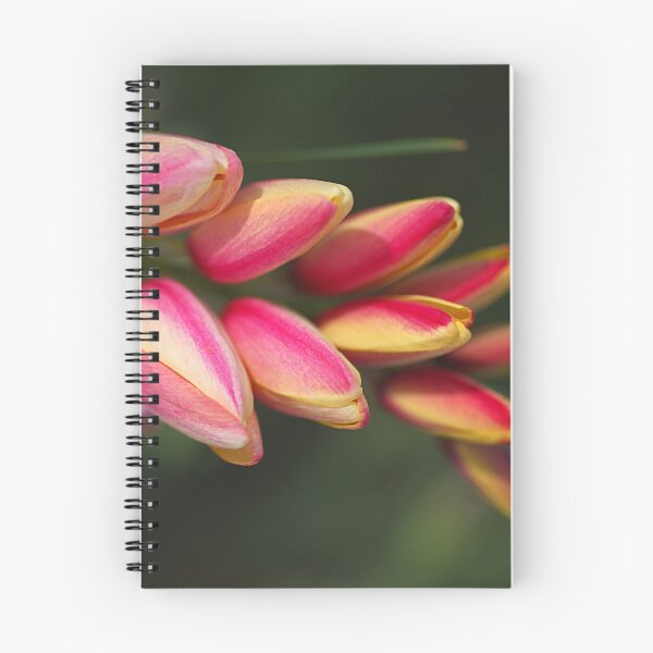 Item preview, African Corn Lily Flows Down designed and sold by Joy Watson - Natural Light Photography .