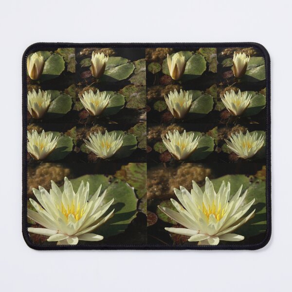 Item preview, 40 Minutes designed and sold by Robert Armendariz.