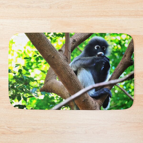 Item preview, Thailand - Khao Sam Roi Yot National Park, spectacled monkey designed and sold by franck380.