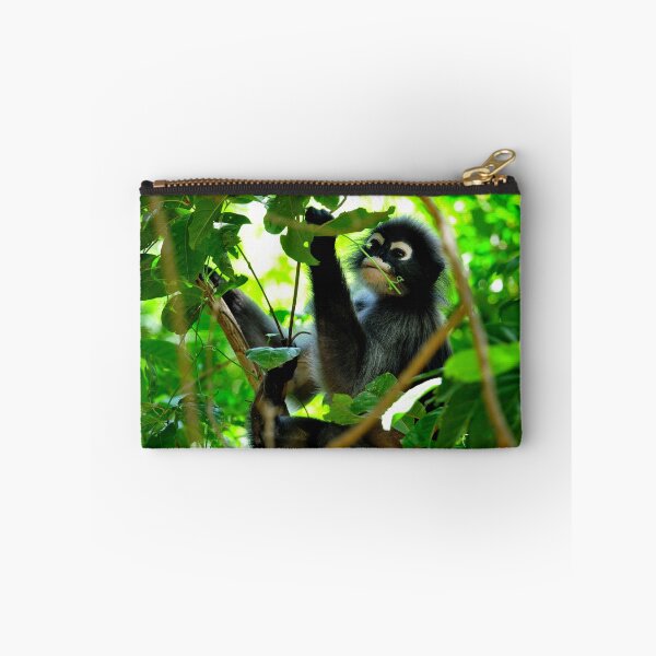 Item preview, Thailand - Khao Sam Roi Yot National Park, spectacled monkey designed and sold by franck380.
