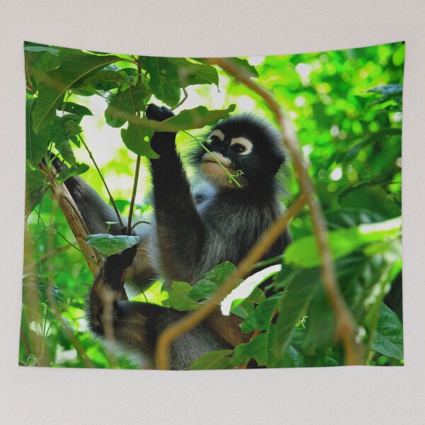 Item preview, Thailand - Khao Sam Roi Yot National Park, spectacled monkey designed and sold by franck380.