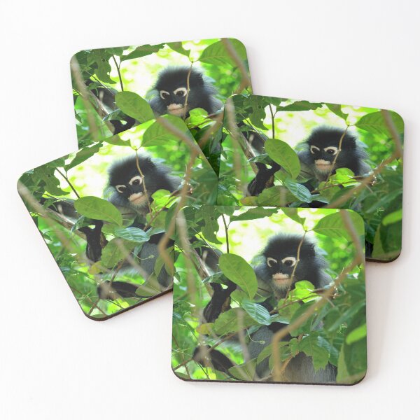 Item preview, Thailand - Khao Sam Roi Yot National Park, spectacled monkey designed and sold by franck380.