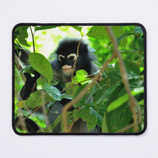 Item preview, Thailand - Khao Sam Roi Yot National Park, spectacled monkey designed and sold by franck380.