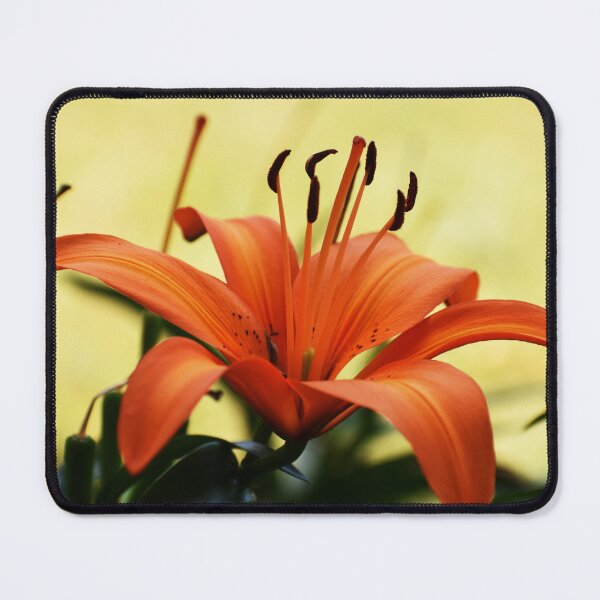 Item preview, Orange designed and sold by Between The Tales.
