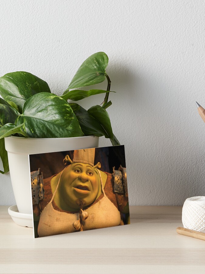 cook shrek  Canvas Print for Sale by Alexis m