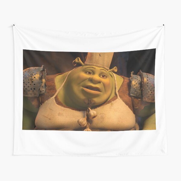 cook shrek Tapestry for Sale by Alexis m Redbubble