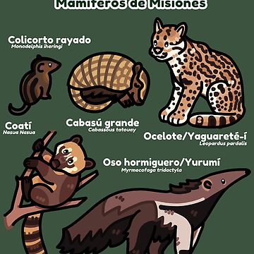 Artwork thumbnail, Mammals of Misiones by moobloom