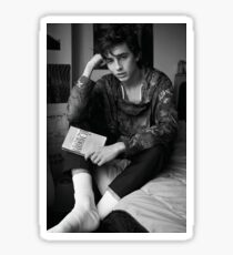 Timothée Chalamet Sticker