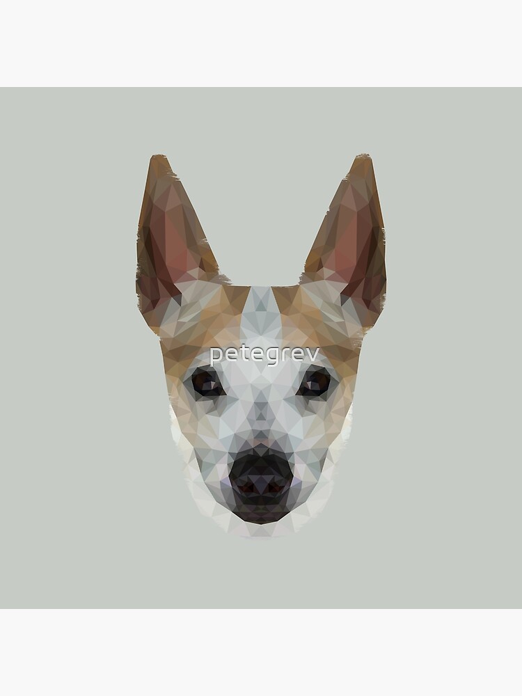 The Jack Russell - Finn by petegrev