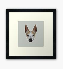 The Jack Russell - Finn Framed Print