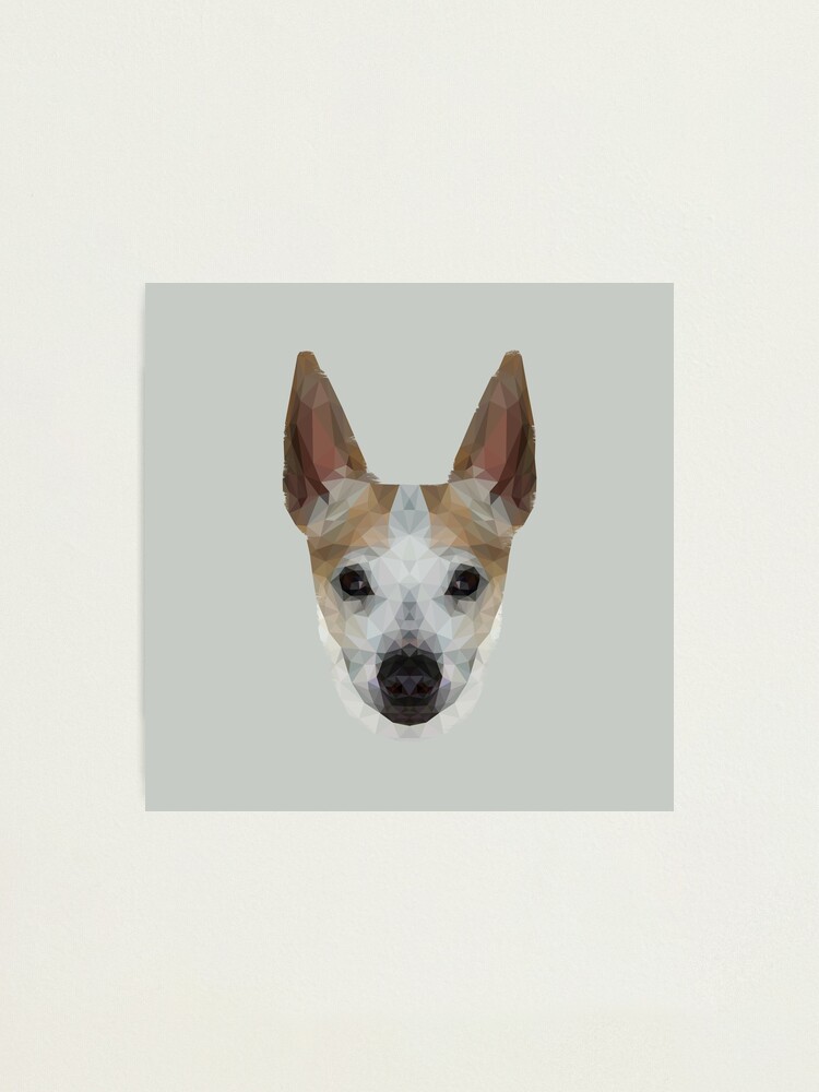 Alternate view of The Jack Russell - Finn Photographic Print