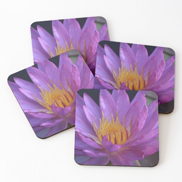 Item preview, Start of a Beautiful Morning designed and sold by Robert Armendariz.
