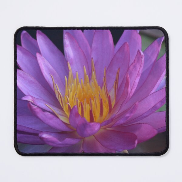 Item preview, Start of a Beautiful Morning designed and sold by Robert Armendariz.