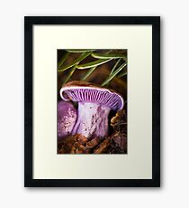 Purple beauty Framed Print