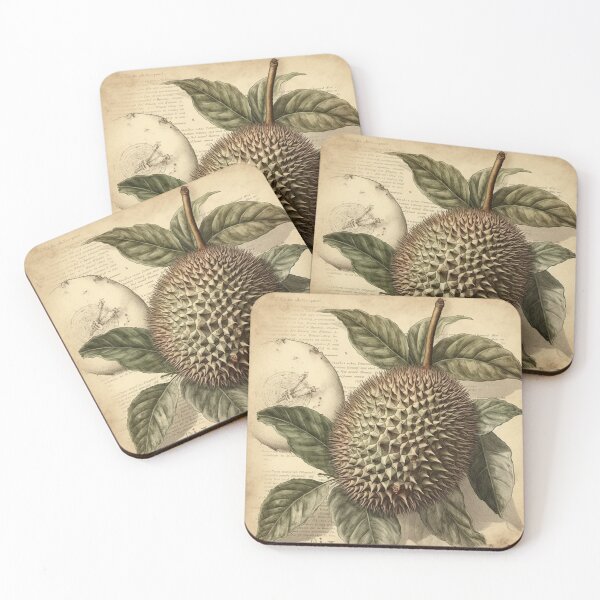 Item preview, vintage botanical illustration of a durian fruit designed and sold by EmeraldeaArt.
