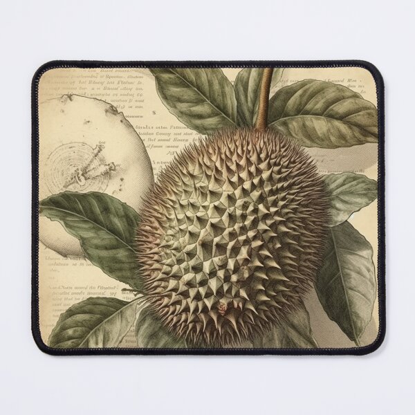 Item preview, vintage botanical illustration of a durian fruit designed and sold by EmeraldeaArt.