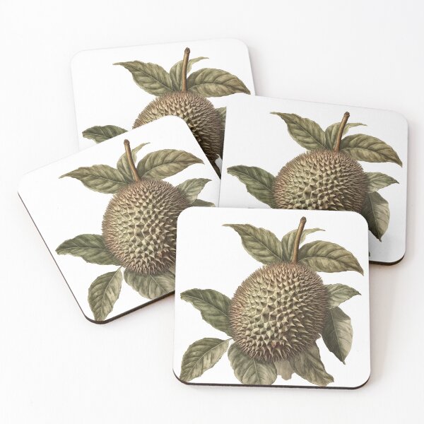 Item preview, vintage botanical cutout of a durian fruit designed and sold by EmeraldeaArt.
