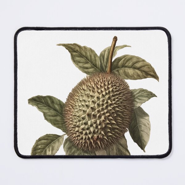Item preview, vintage botanical cutout of a durian fruit designed and sold by EmeraldeaArt.